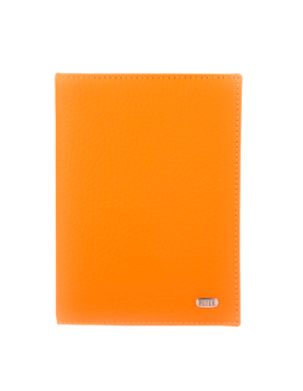 Обложка на автодокументы 584.234.89 Orange Popsicle